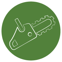 Tree Pruning
